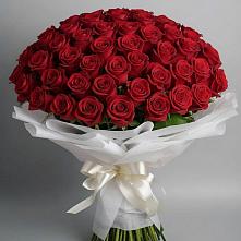 Букет 101 Красная роза Блэк Мэджик в Пригородном Курской области