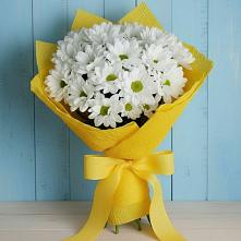 Букет цветов из:  Хризантемы в Пригородном Курской области