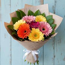 Букет цветов из:  Герберы в Пригородном Курской области