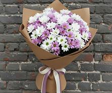 Букет цветов из:  Хризантемы в Пригородном Курской области