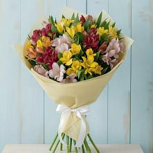 Букет цветов из:  Альстромерии в Пригородном Курской области