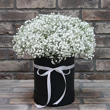 Цветочная композиция из Гипсофила в шляпной коробке #REPLACE_PRED# Пригородном Курской области