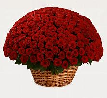 Премиум букет из: Розы в Пригородном Курской области