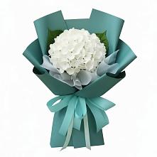 Букет цветов из:  Гортензия в Пригородном Курской области